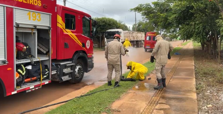 Bombeiros resgatam mulher e 11 animais ap�s ataque de abelhas em Sinop