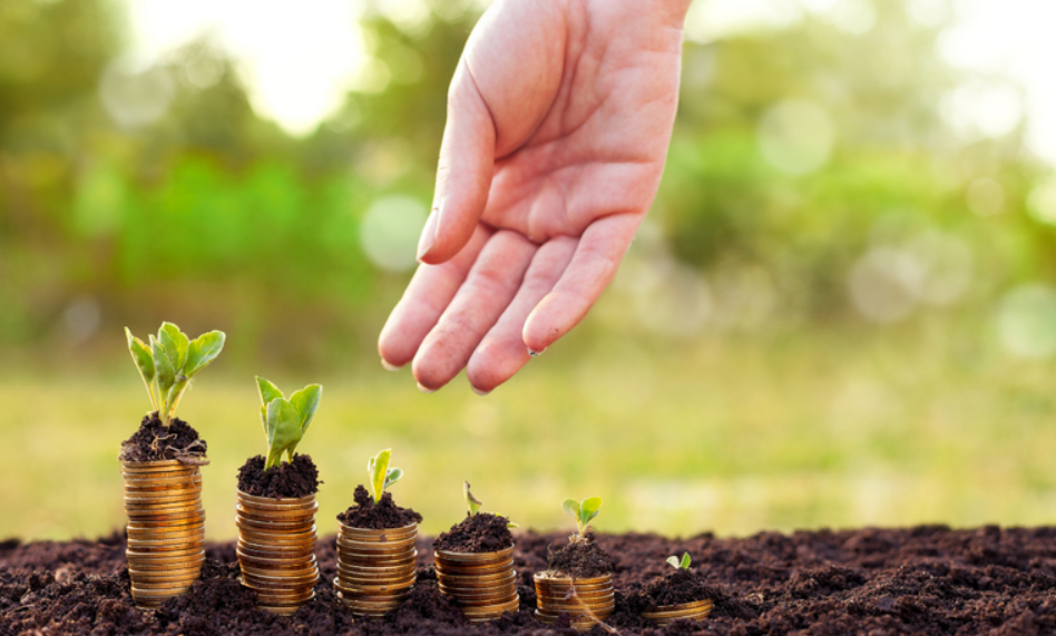 Governo Federal lan�a Desenrola Rural para renegocia��o de d�vidas de agricultores familiares