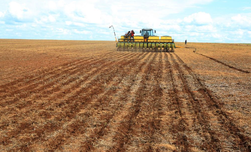 Indea prorroga prazo para cadastro de produtores de soja em Mato Grosso