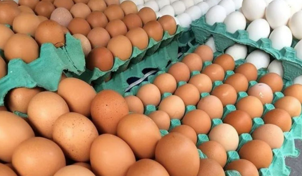 Aumento do pre�o do ovo chama aten��o dos consumidores