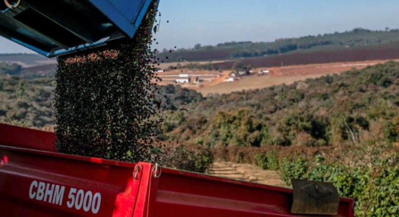 Caf� ar�bica atinge maior pre�o em 30 anos, aponta Cepea