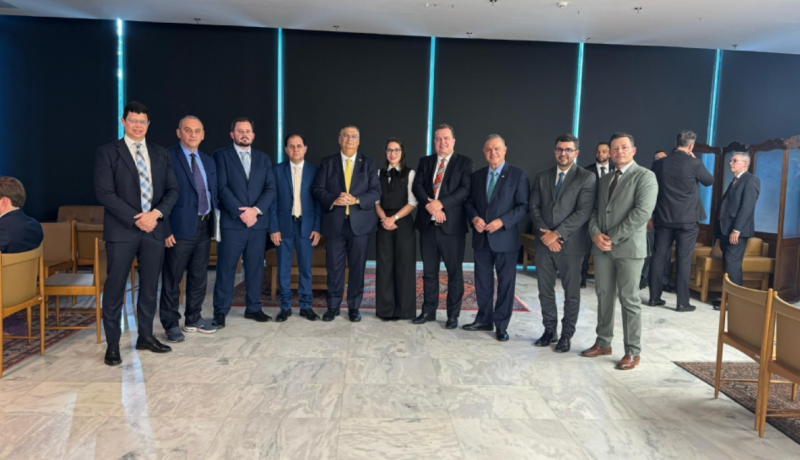 Deputados de mato grosso se re�nem com Fl�vio dino para discutir lei de incentivos fiscais