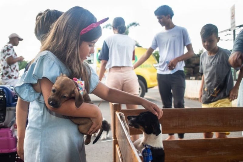 Feira de adoo de animais acontece neste final de semana em Cuiab