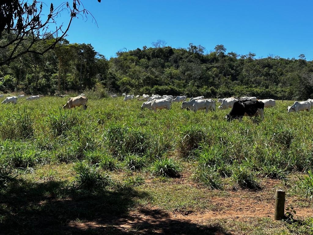 Alvo de opera��o em MT ostentava ve�culos, gado e vida de luxo nas redes sociais, segundo pol�cia