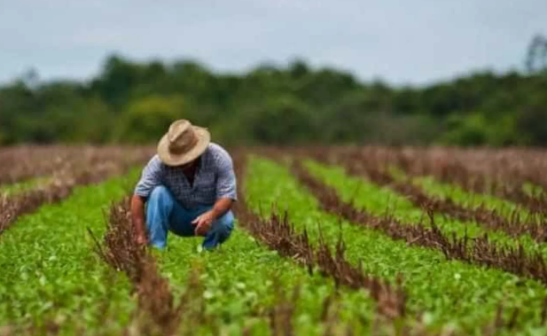 Programa Desenrola Rural entra em vigor hoje