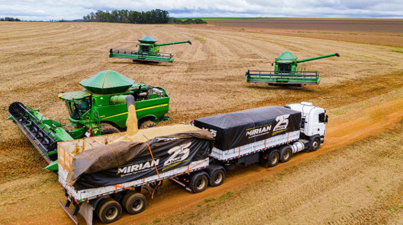 Safra de gr�os 2024/25 em Mato Grosso deve representar 30% da produ��o nacional