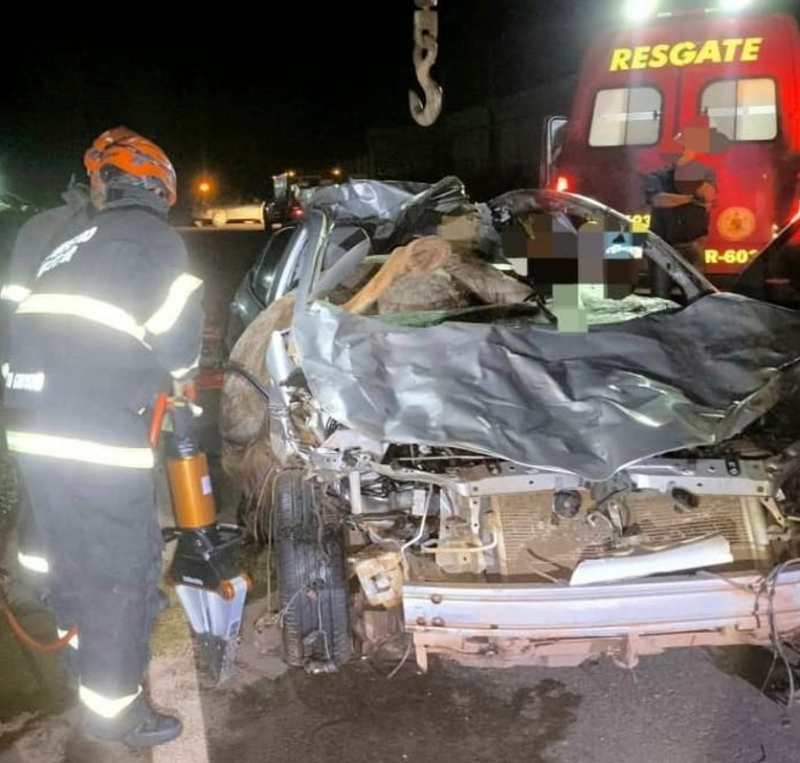 Bombeiros realizam resgate de motorista e cavalo presos �s ferragens ap�s acidente na MT-170