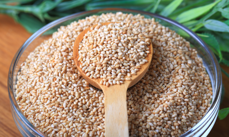 Mato Grosso firma parceria com centro de pesquisa da China para aprimoramento do cultivo do gergelim