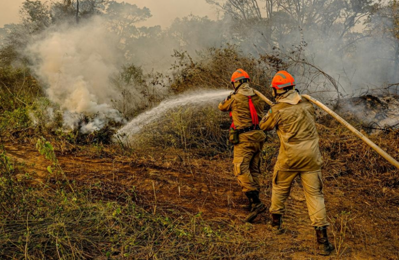 Governo de MT lan�a plano de combate ao desmatamento e inc�ndios florestais para 2025