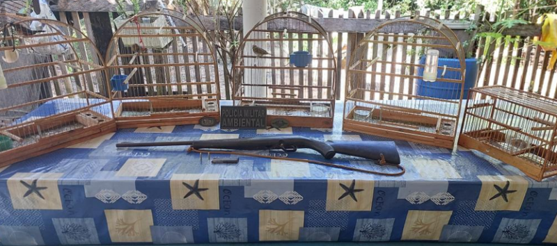 Homem � preso por manter aves silvestres em cativeiro e posse ilegal de arma em Nova Cana� do Norte