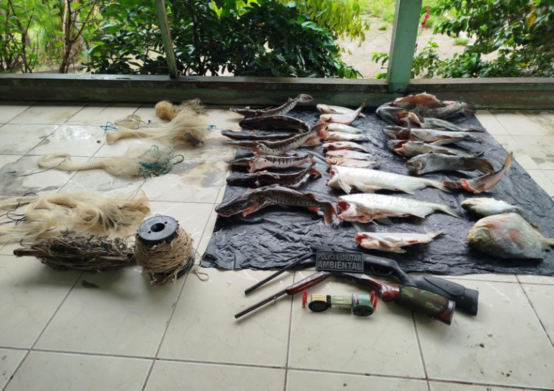 Batalh�o Ambiental apreende 50 quilos de pescado irregular e duas armas em Nova Monte Verde