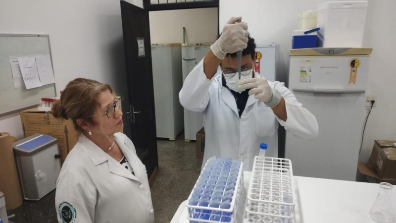 Pesquisadores de Mato Grosso descobrem nova esp�cie de fungo como causa da doen�a da Paracoccidioidomicose (PCM)