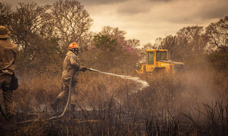 Parceria vai viabilizar uso de maquin�rio pesado na preven��o e combate a inc�ndios florestais em MT
