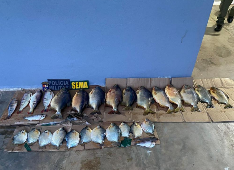 Sema apreende 38 kg de pescado irregular e aplica multa de R$ 8,8 mil a infrator