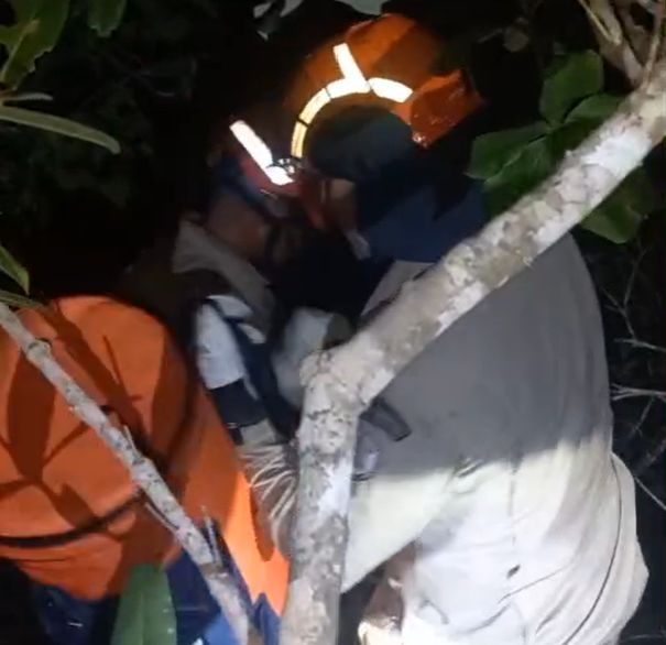 Aeronave cai em mata fechada de Rondonpolis e buscas so feitas para encontrar piloto