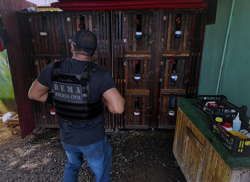 Pol�cia Civil resgata galos utilizados em rinhas e prende propriet�rio das aves por maus-tratos