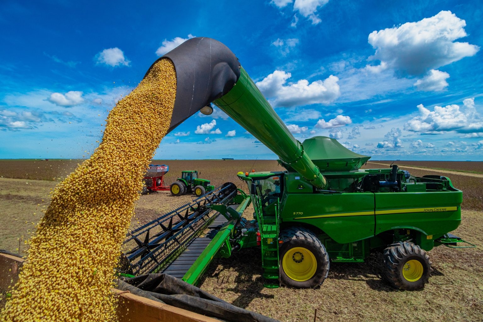 Safra 2024/25 de soja em MT atinge volume hist�rico e ultrapassa 50 milh�es de toneladas