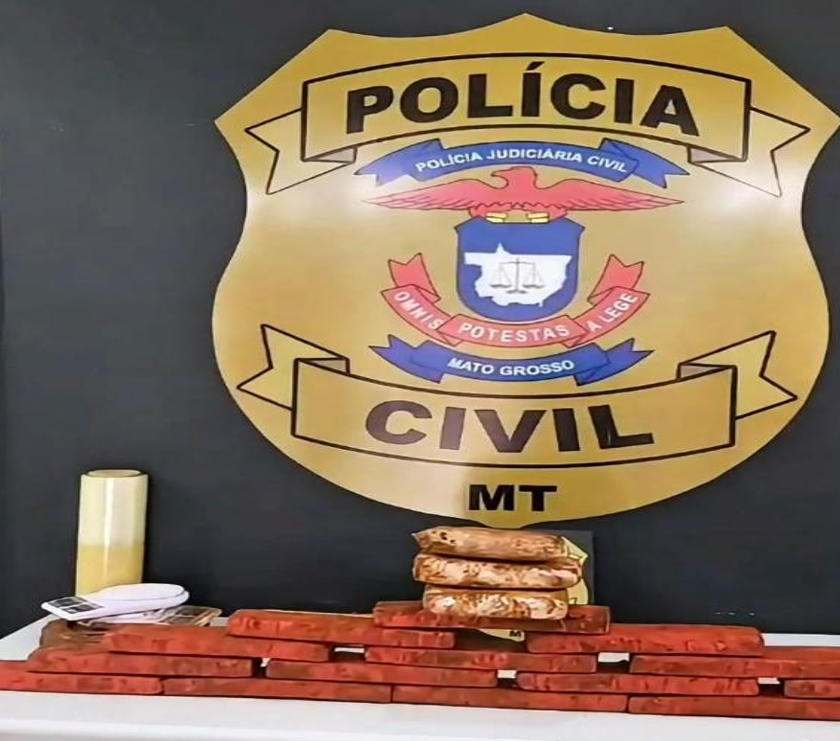 Investiga��o policial culmina na pris�o de traficante e apreens�o de 18 tabletes de maconha