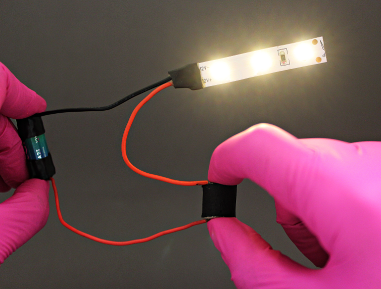 Pesquisadores brasileiros desenvolvem embalagem sustent�vel feita de baga�o de cana para proteger equipamentos eletr�nicos