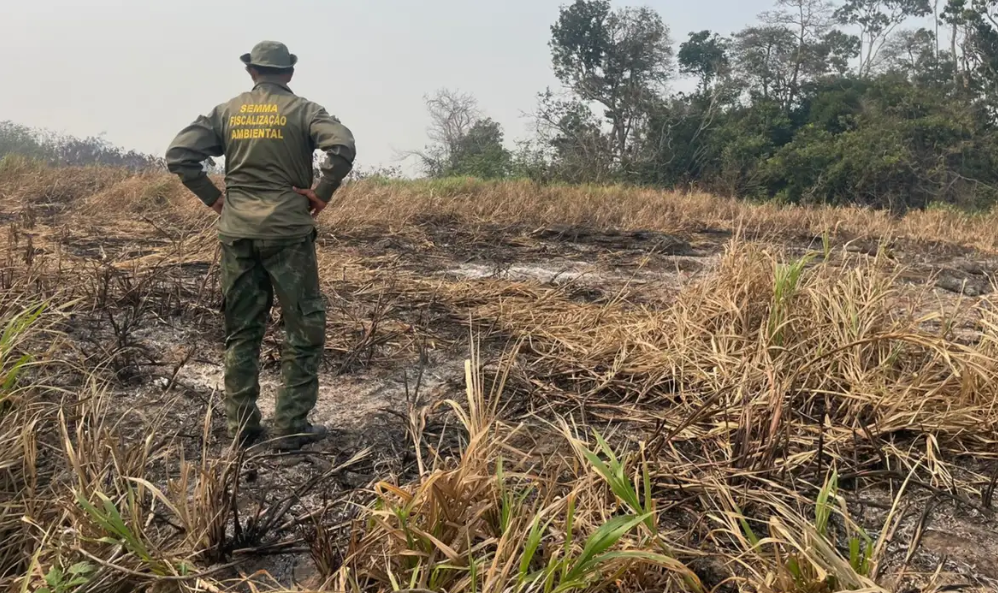 Queimadas no Brasil caem 70% no primeiro trimestre de 2025