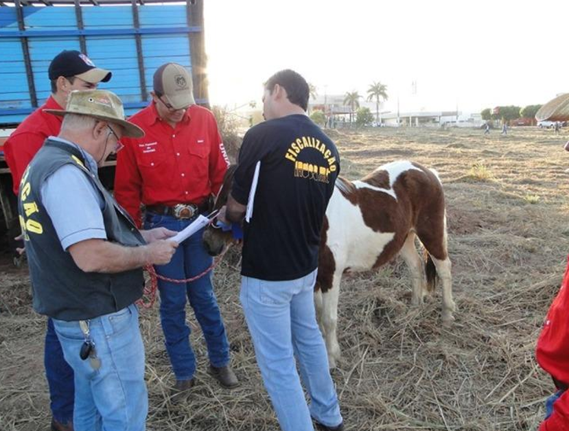 Indea promove curso para mdicos veterinrios interessados em atuar em eventos agropecurios