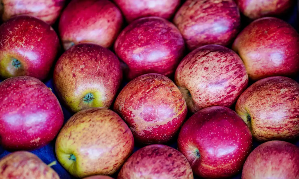 Brasil amplia exporta��o de frutas em 26% no in�cio de 2025