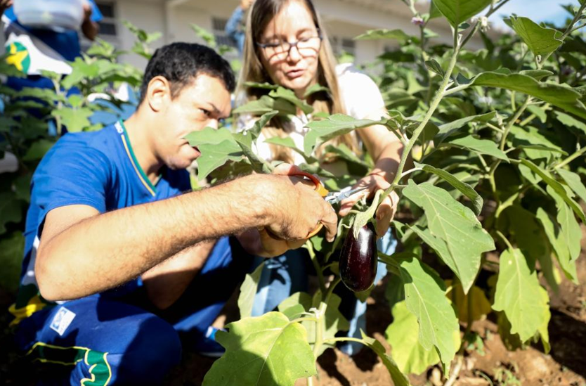 Projeto contempla 300 unidades estaduais em 2025