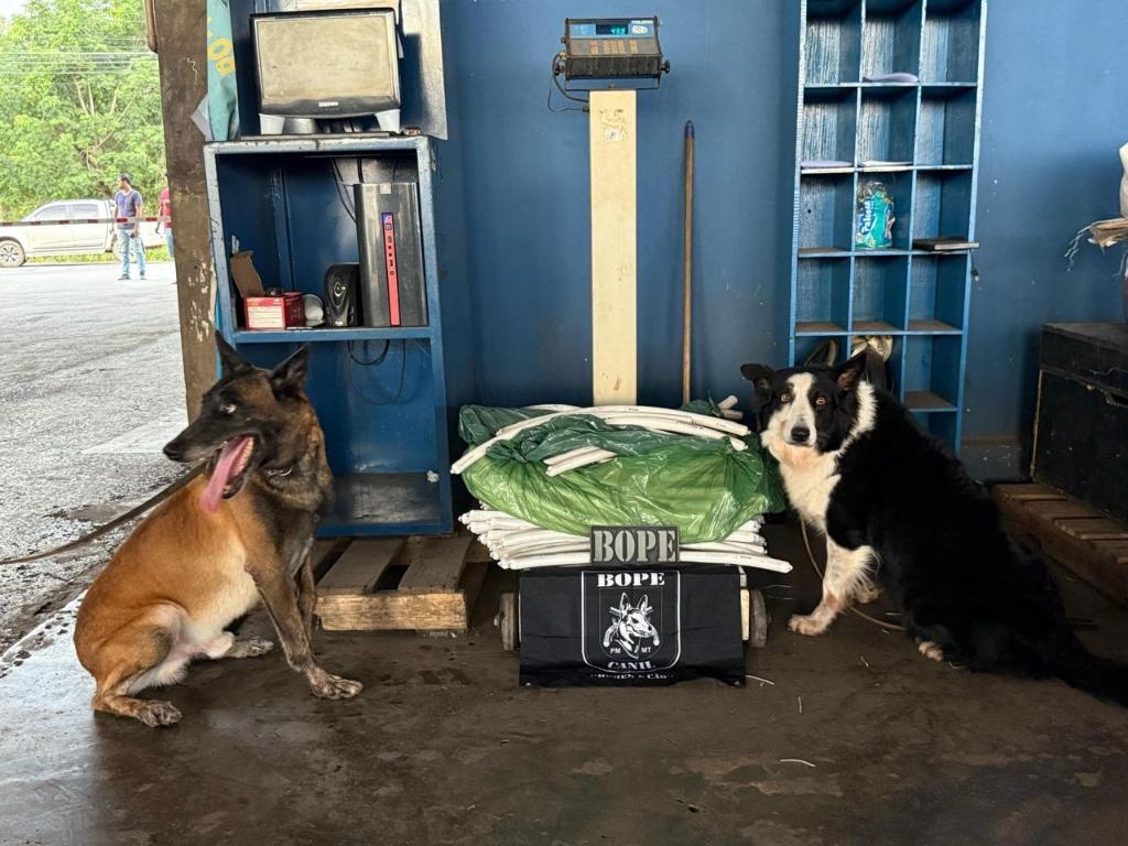 Bope apreende 49 quilos de explosivos em carga de transportadora em Cuiab�