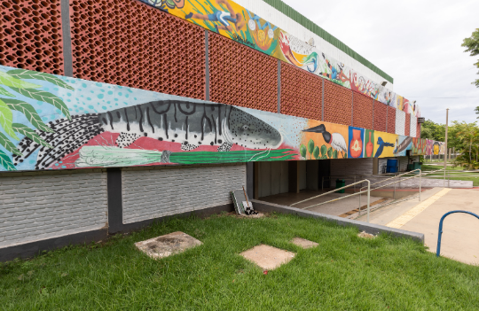 Cuiab� sediar� Festival Paral�mpico Loterias Caixa com inscri��es abertas at� 5 de maio