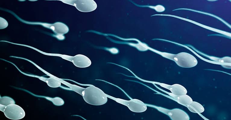 CORONAV�RUS PODE FICAR NOS ESPERMATOZOIDES AT� 110 DIAS AP�S INFEC��O