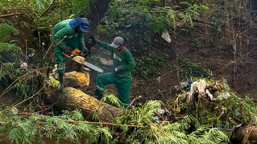 Servi�os P�blicos remove mais de 650 t de res�duos nos bairros que sofreram alagamentos em V�rzea Grande