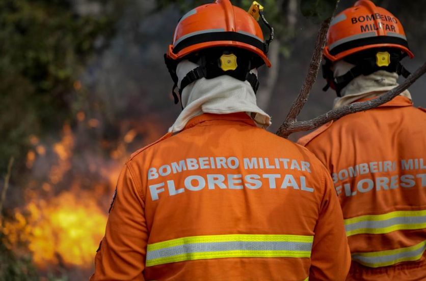 Inscri��es do seletivo para o 7� Curso de Preven��o e Combate a Inc�ndios Florestais encerram nesta sexta-feira (9)
