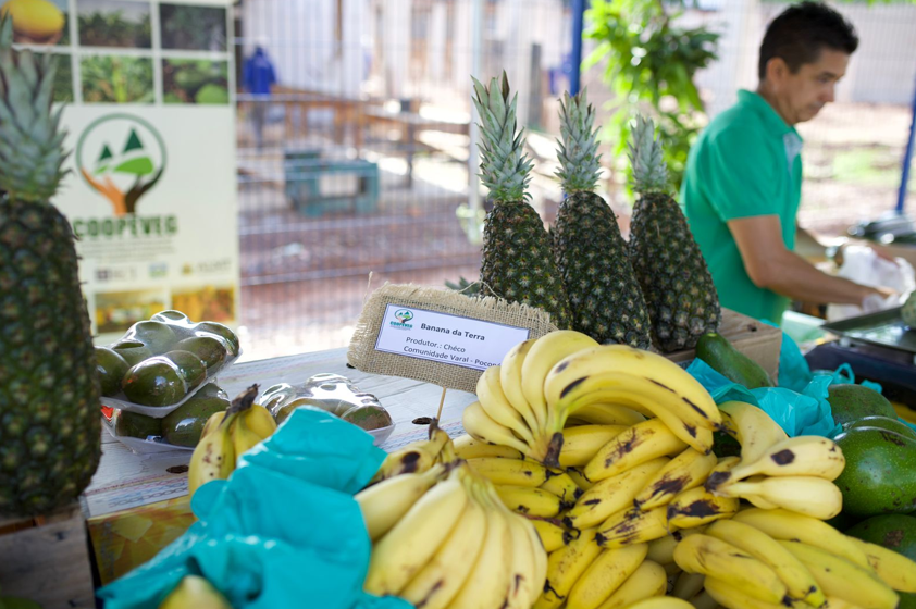 Seaf e Empaer reabrem feira que aproxima campo e cidade com produtos de qualidade