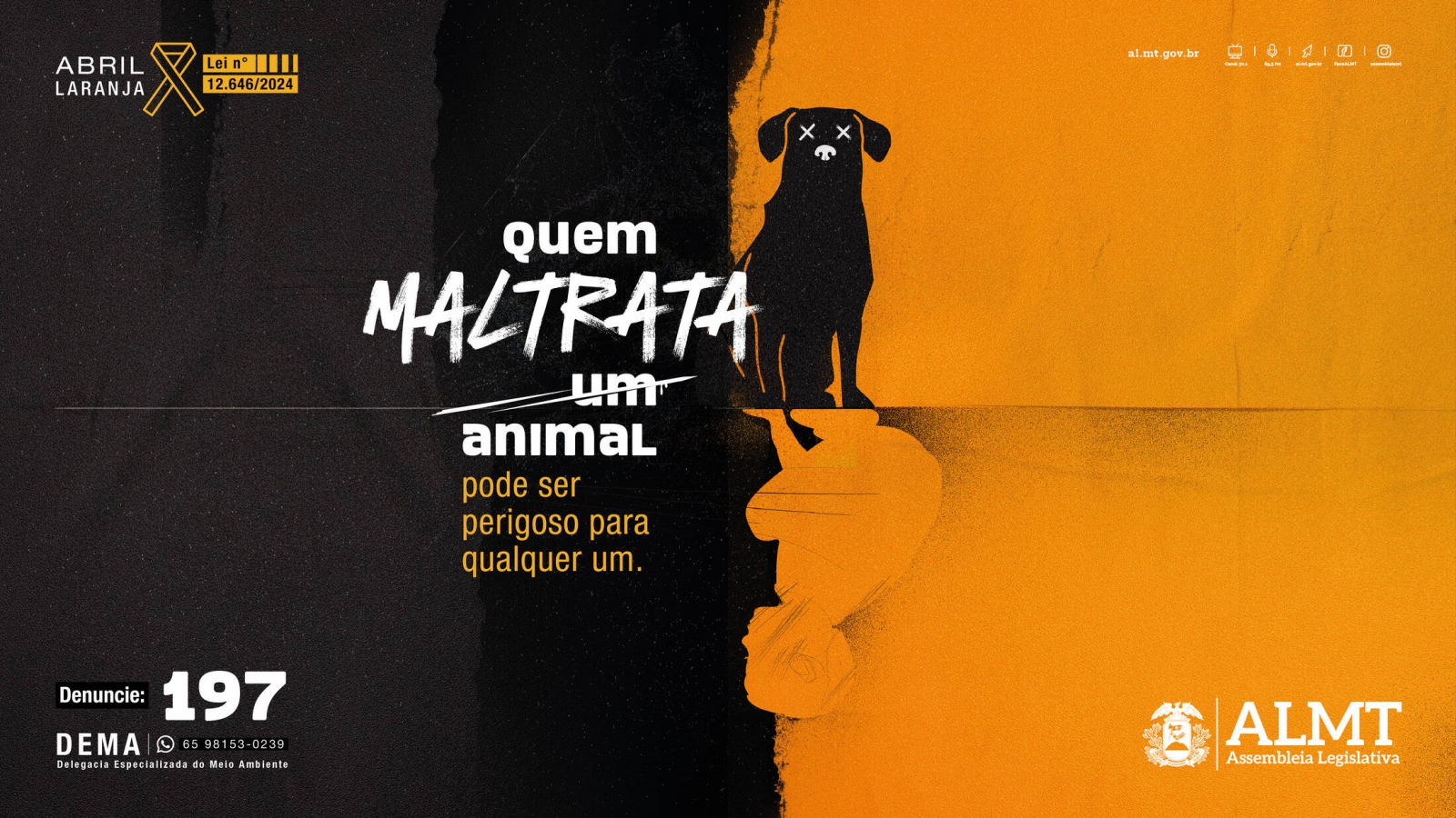 Campanha da ALMT para conscientizar sobre abuso contra animais � destaque em site internacional