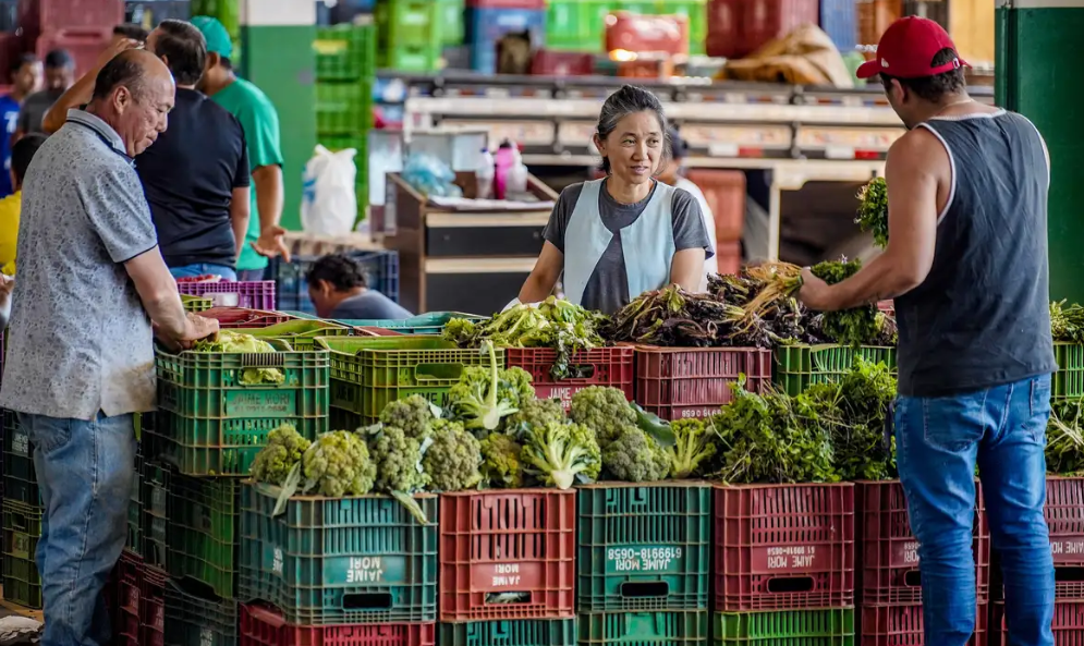 Anvisa amplia fiscaliza��o de agrot�xicos em alimentos com novo ciclo de monitoramento