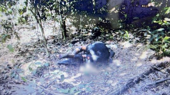 Corpo de homem � encontrado com m�os amarradas em �rea rural de Sinop