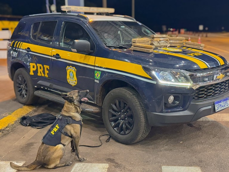 PRF apreende 15 kg de maconha em �nibus interestadual durante fiscaliza��o em Rondon�polis-MT