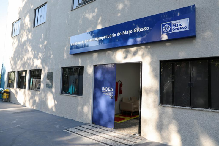 Mato Grosso descarta caso de gripe avi�ria em Nova Brasil�ndia e refor�a vigil�ncia sanit�ria