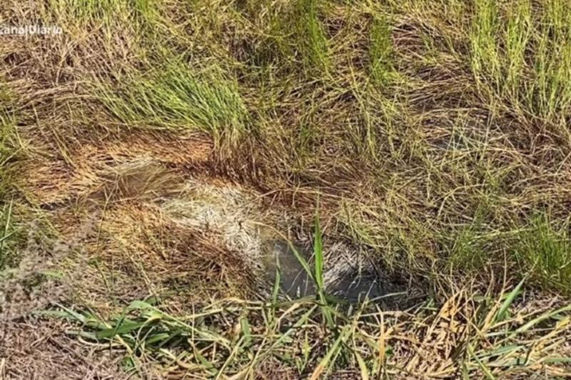 Homem � encontrado morto enrolado em len�ol �s margens da BR-174 em Pontes e Lacerda