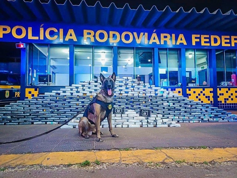 PRF apreende 400 kg de drogas e muni��es escondidos em caminh�o