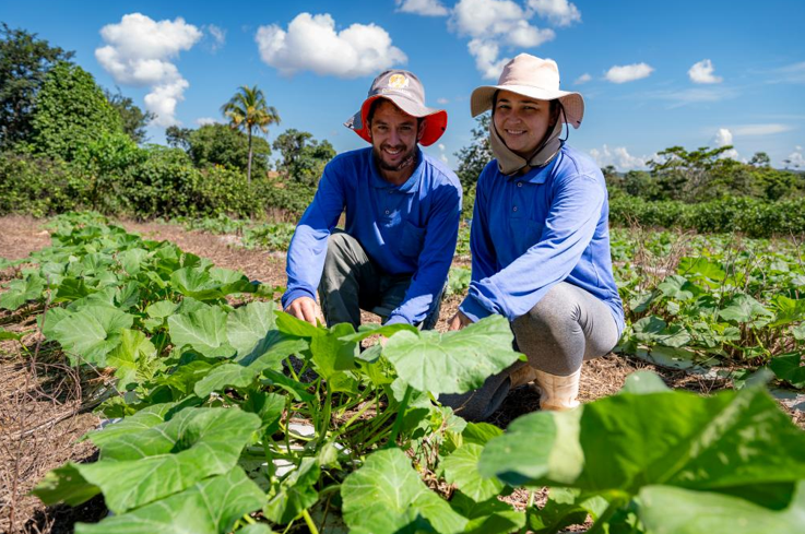 Governo de MT investiu R$ 720 milh�es na agricultura familiar