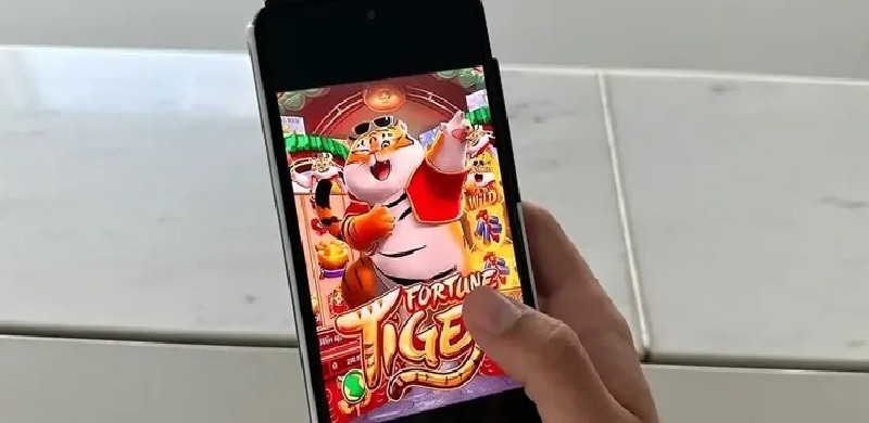 Mulher comete suic�dio em Cuiab� ap�s perdas financeiras em jogo online