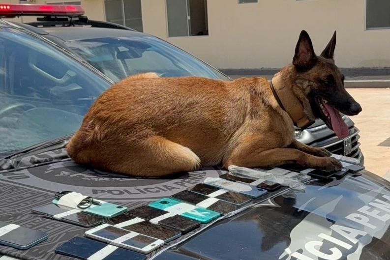 Opera��es removem 2.114 celulares em unidades prisionais de Mato Grosso em seis meses