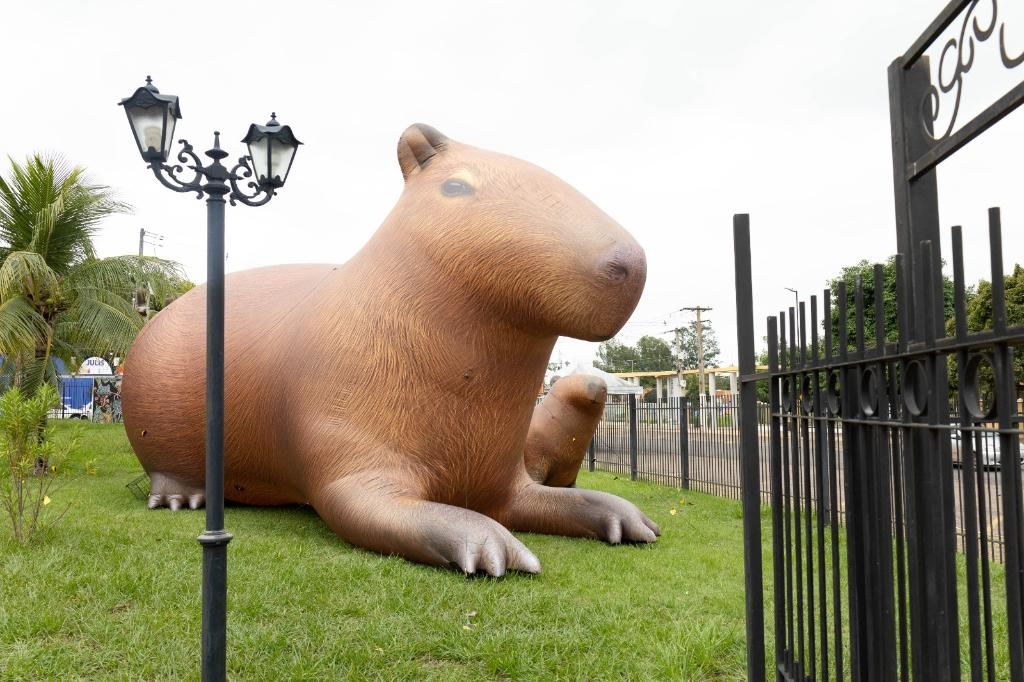 Capivara de quatro metros de altura chama aten��o para Virada Sustent�vel Mato Grosso