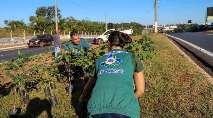 Pauta ambiental deixa de ser apenas um ato comemorativo em V�rzea Grande