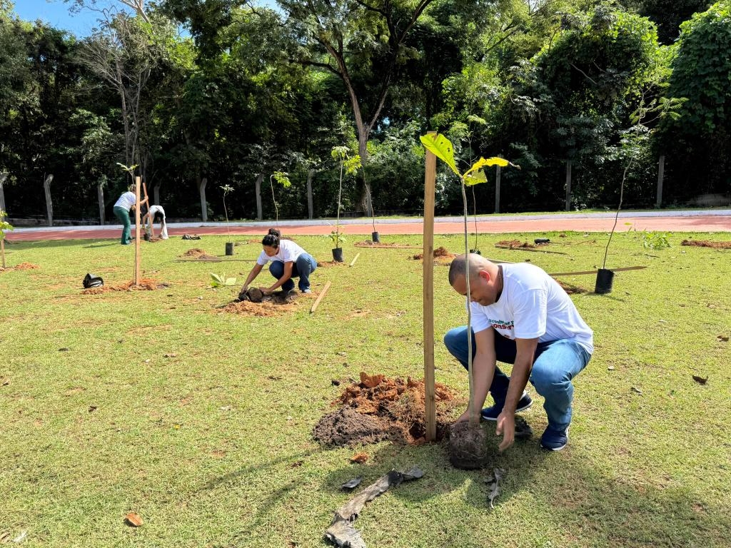 Parque das �guas recebe 200 novas mudas no Dia Internacional do Meio Ambiente