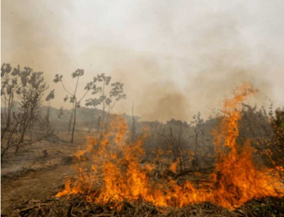 MT LIDERA RANKING NO PA�S E REGISTRA MAIS DE 9 MIL FOCOS DE QUEIMADAS DESDE JANEIRO, DIZ INPE