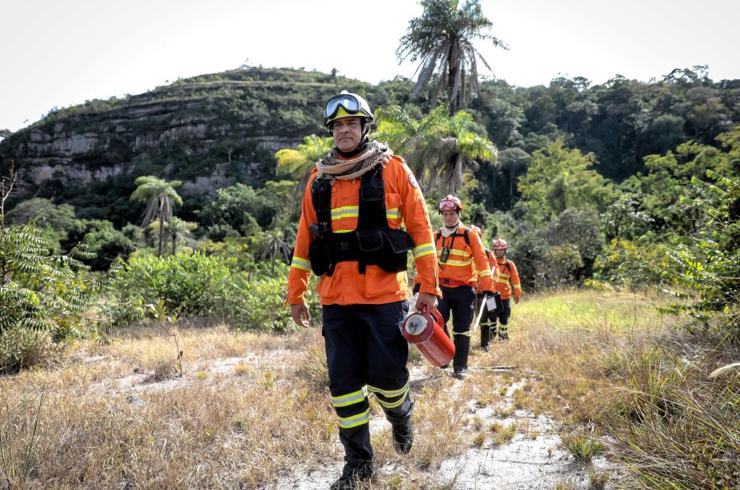 �ltimos dias para inscri��es no Congresso Internacional de Gest�o de Inc�ndios Florestais