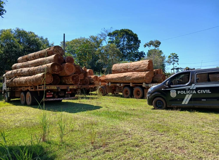 Opera��o da Pol�cia Civil apreende cargas ilegais de madeiras em duas empresas em Ju�na
