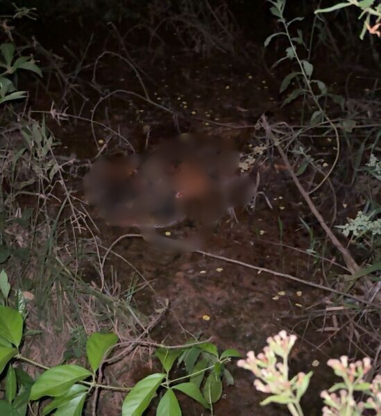 Corpo decapitado � localizado em �rea alagada de Ju�na